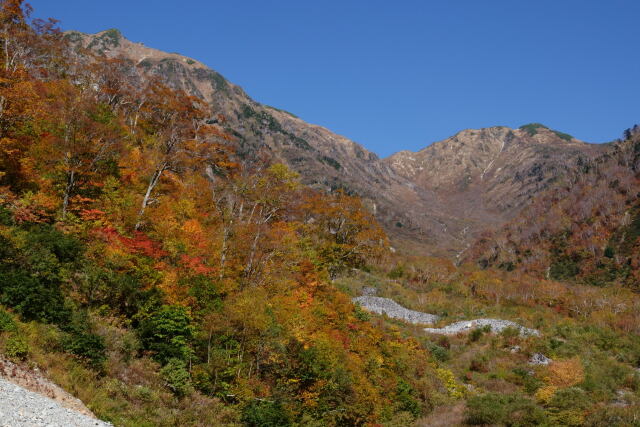 弓折岳を望む