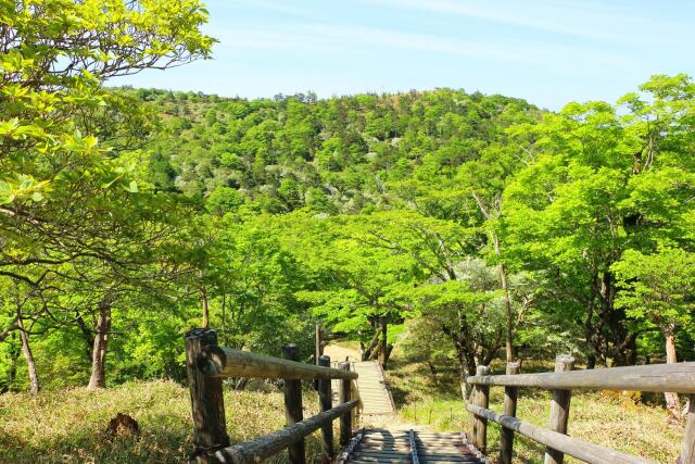 夏の大台ケ原