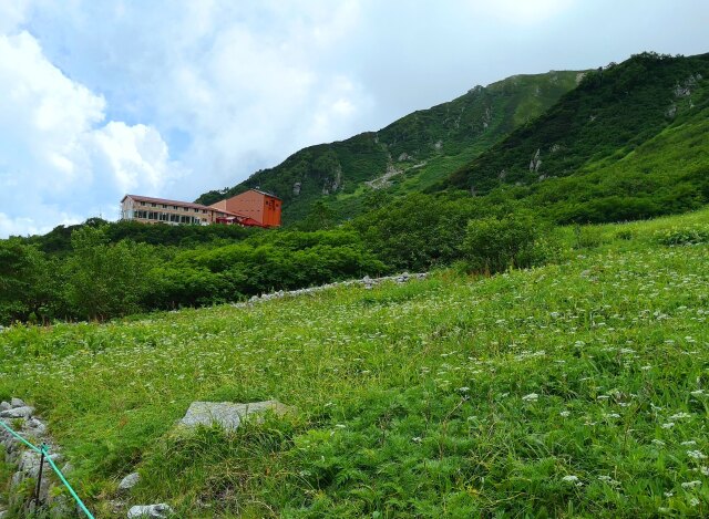 夏の駒ヶ岳