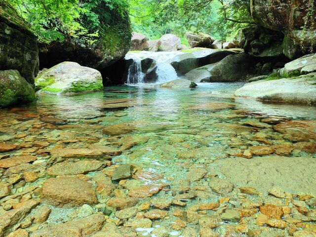 夏の清流