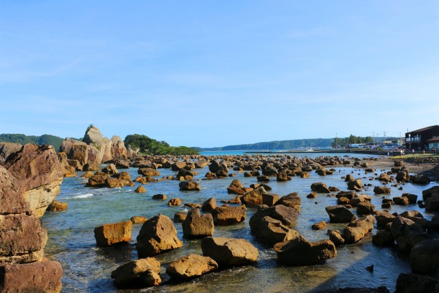 夏の海