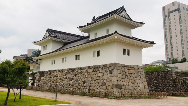 夏の富山城址公園