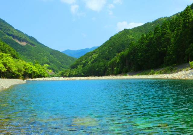 夏の清流