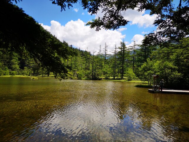 夏の明神池