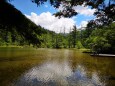 夏の明神池