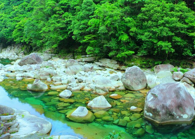 夏の清流