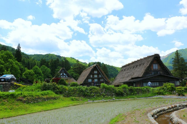 夏の白川郷