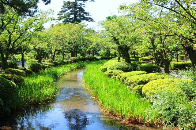 夏の兼六園