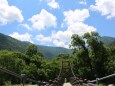 夏の明神池