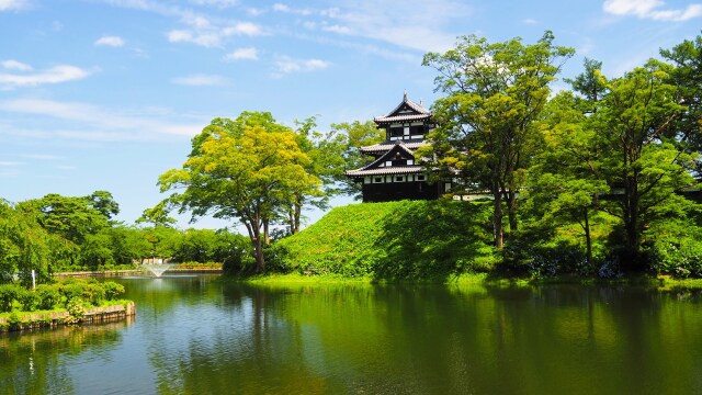 夏の高田城址公園