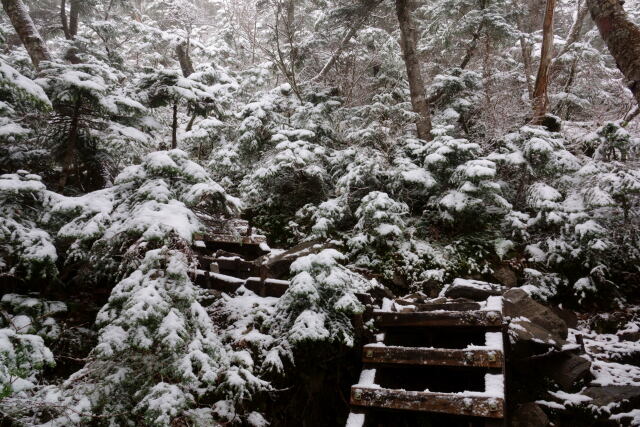 新雪の登山道