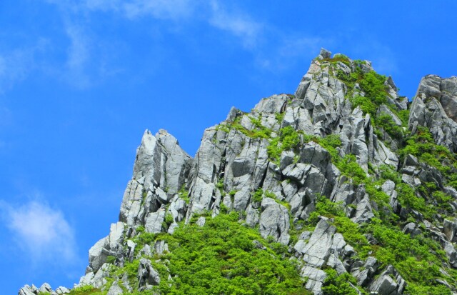 夏の駒ヶ岳