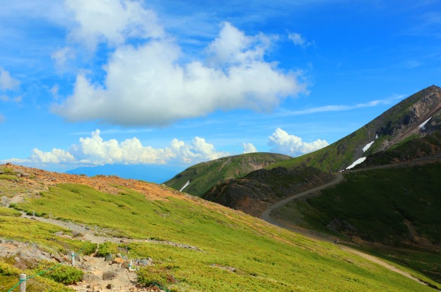 夏の乗鞍岳