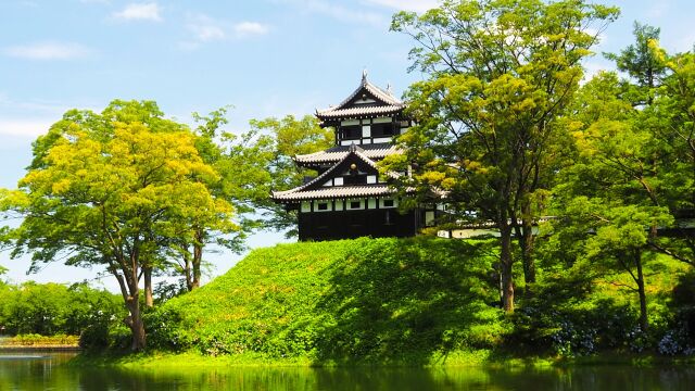 夏の高田城址公園