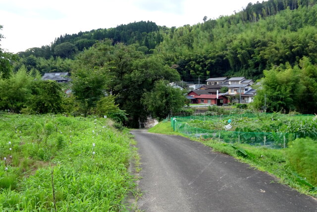 山村集落へ続く道