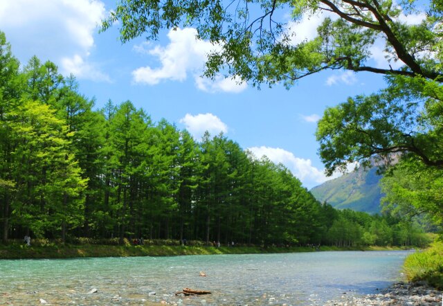 夏の水辺