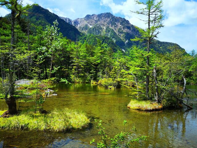 夏の明神池