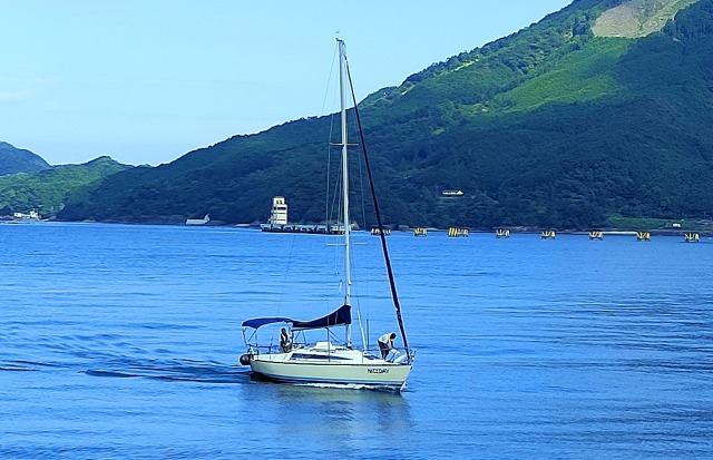 夏の海