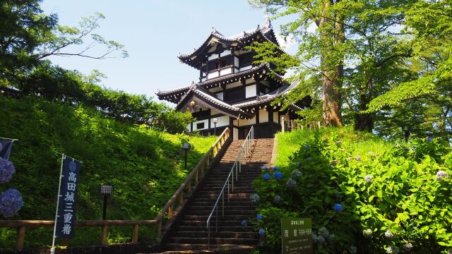 夏の高田城址公園