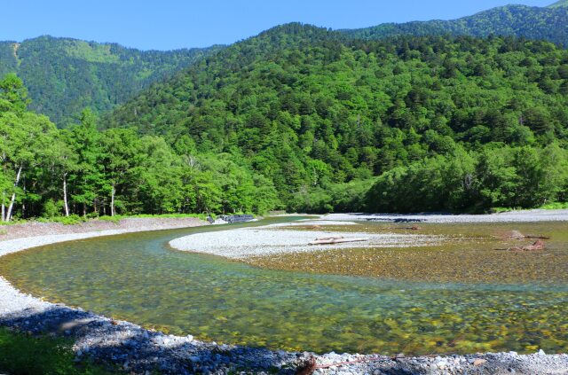 夏の水辺