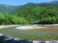 夏の水辺