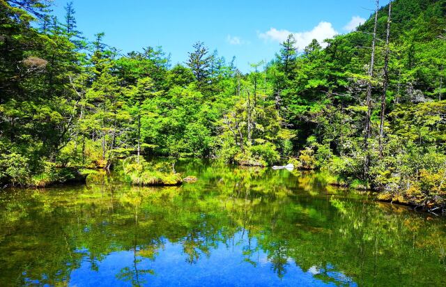 夏の明神池