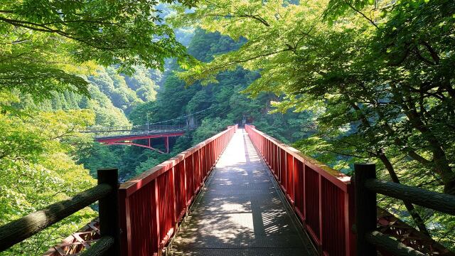 夏の宇奈月温泉