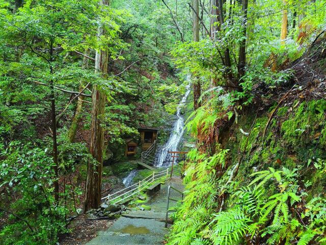 夏の熊野古道