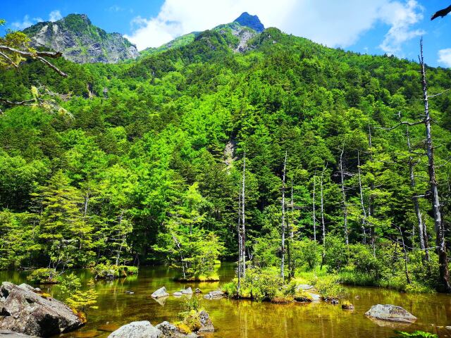 夏の明神池