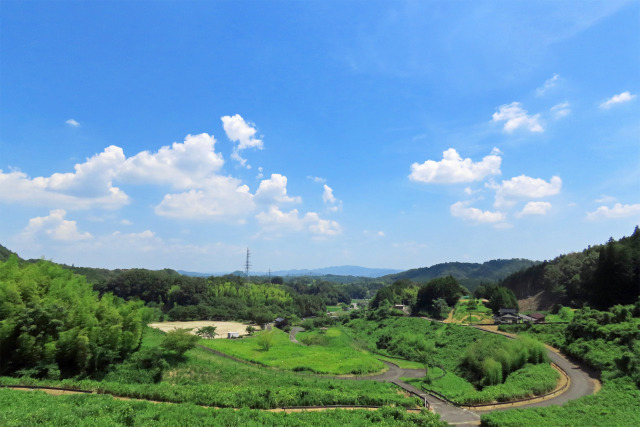 苫田ダムから 夏