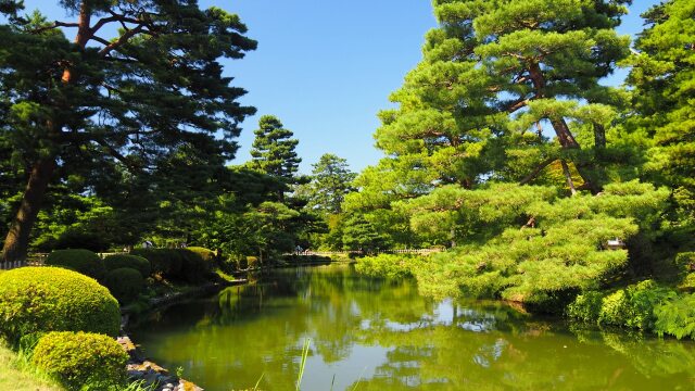 夏の兼六園