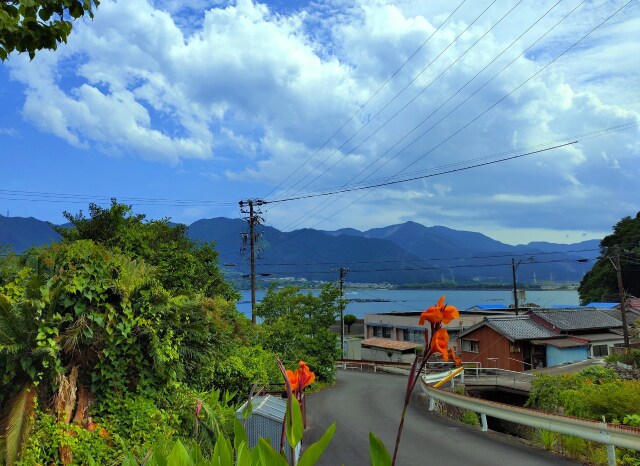 夏の海