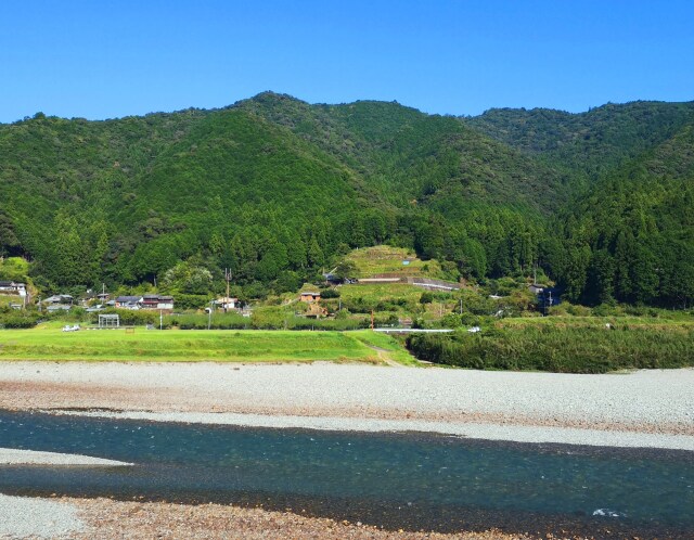 夏の里山