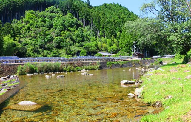 夏の里山