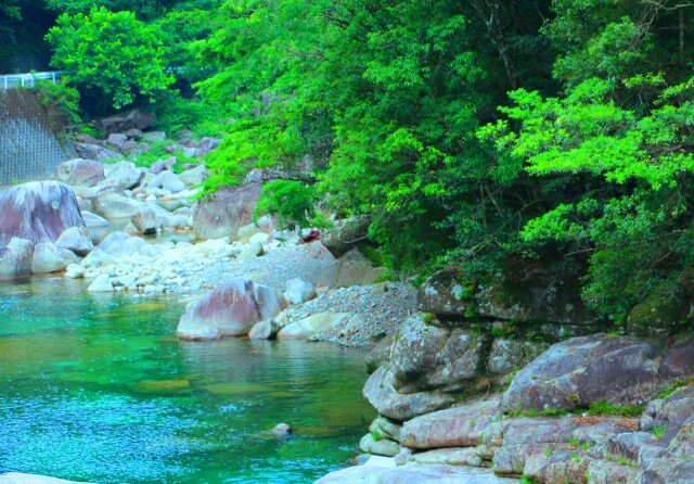 夏の清流