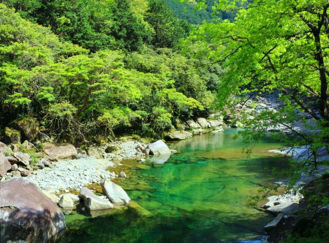 夏の清流