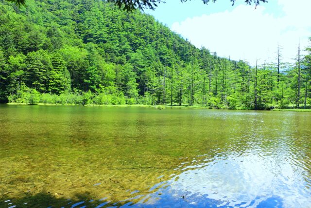 夏の明神池