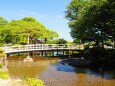 夏の兼六園