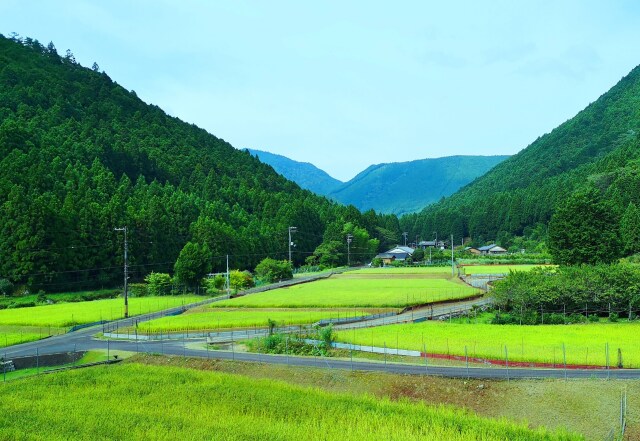 夏の里山