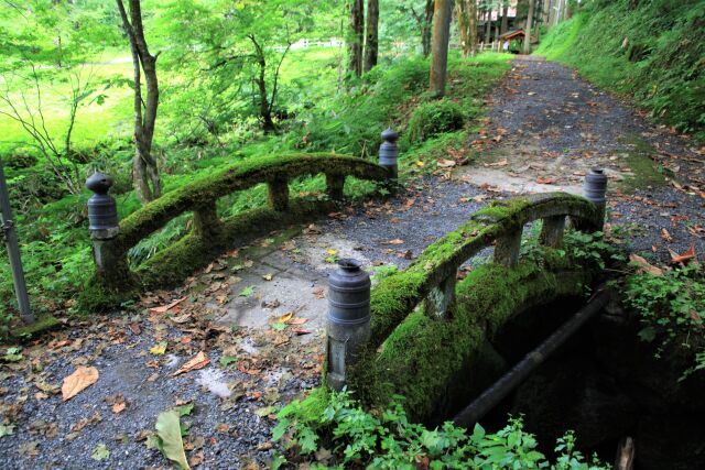 苔むす可愛い橋