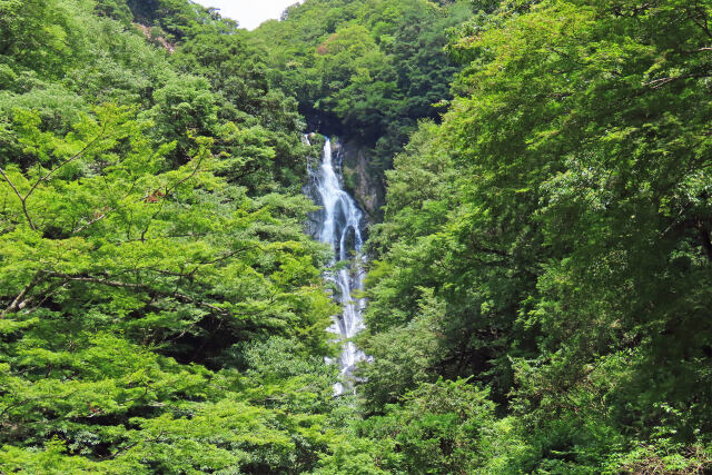 渓流 夏 42 滝