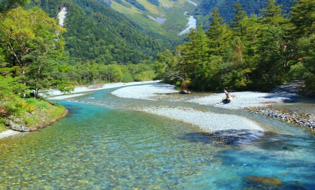 夏の清流