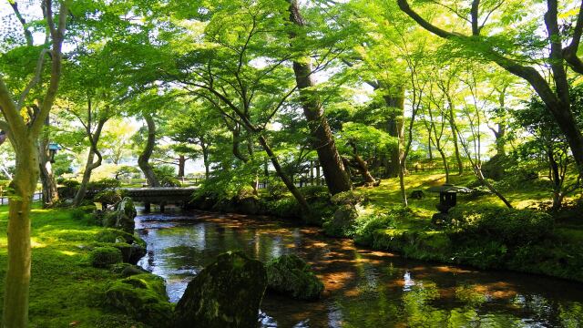 夏の兼六園