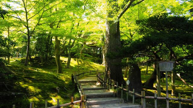 夏の兼六園