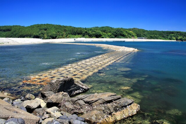 南三陸の海