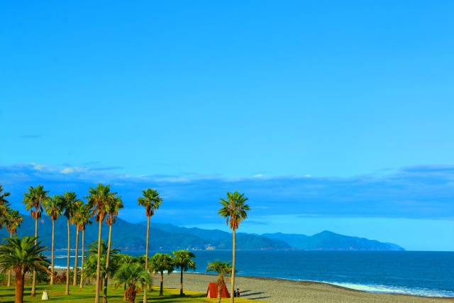 夏の海