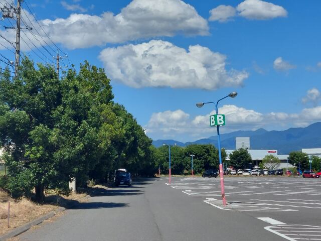 沸騰する日本