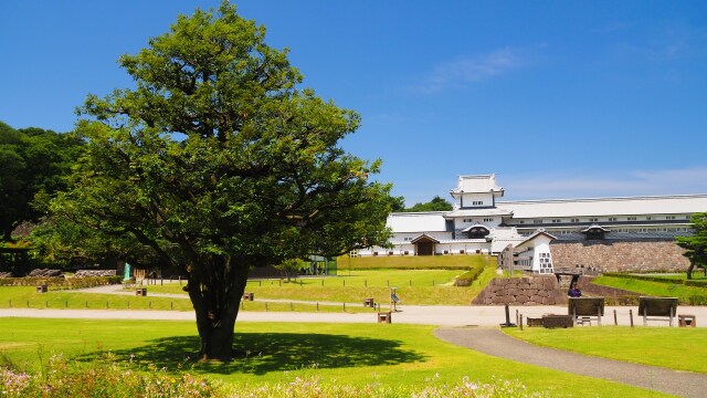 夏の金沢城公園