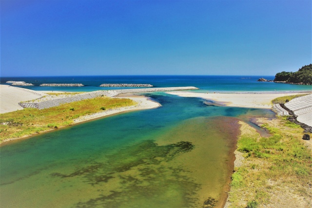 夏の海