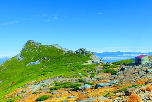 夏の駒ヶ岳